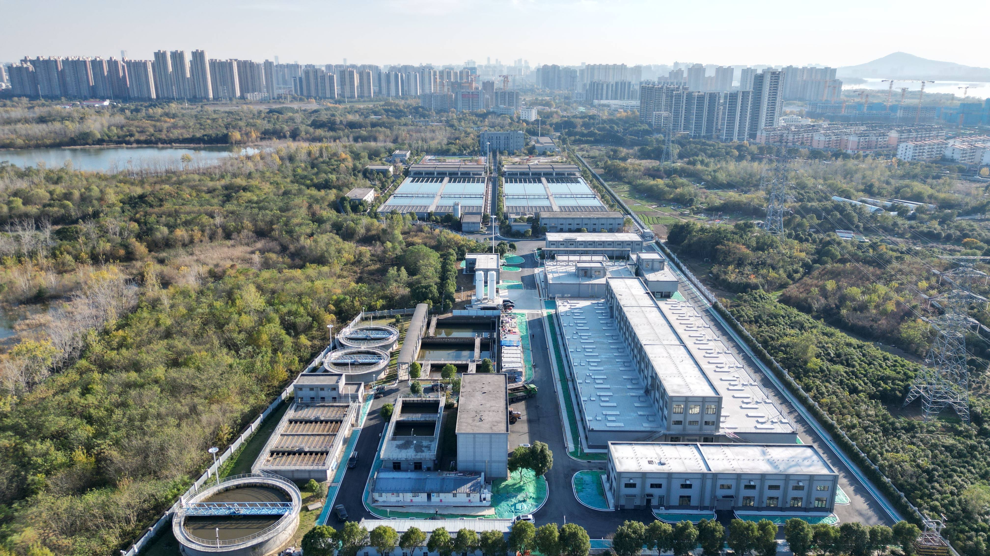 北屯市合肥专业企业价值增长(合肥市重点企业产业目录)