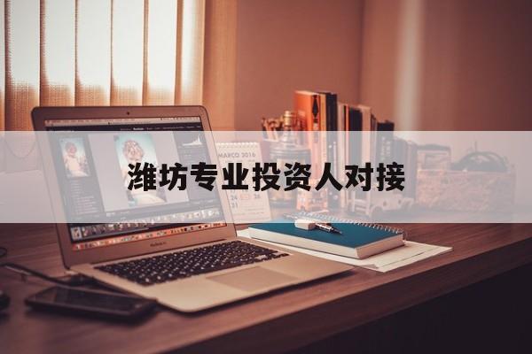 北屯市潍坊专业投资人对接(潍坊专业投资人对接中心)
