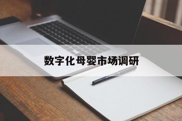北屯市数字化母婴市场调研(数字化母婴市场调研报告)